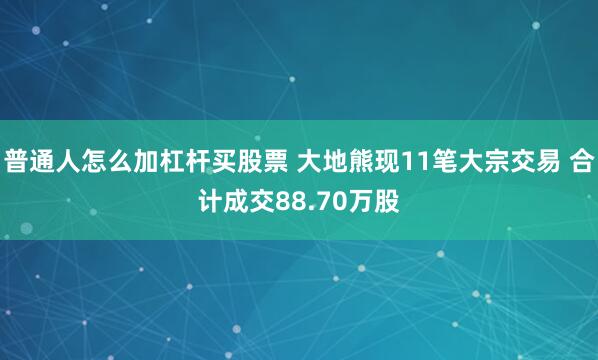 普通人怎么加杠杆买股票 大地熊现11笔大宗交易 合计成交88.70万股