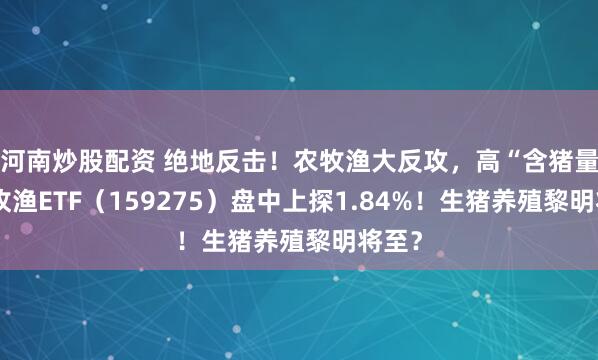 河南炒股配资 绝地反击！农牧渔大反攻，高“含猪量”农牧渔ETF（159275）盘中上探1.84%！生猪养殖黎明将至？