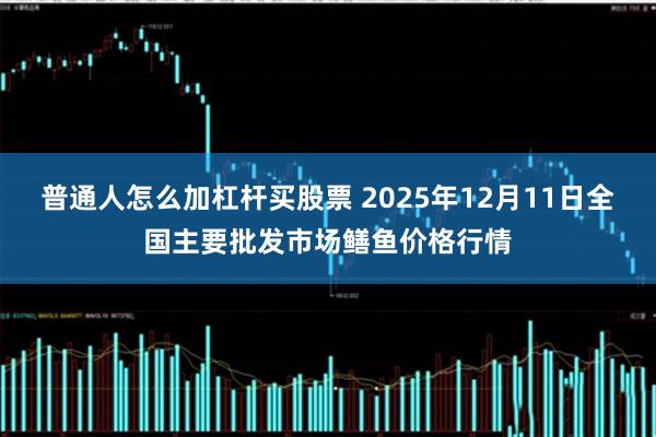 普通人怎么加杠杆买股票 2025年12月11日全国主要批发市场鳝鱼价格行情